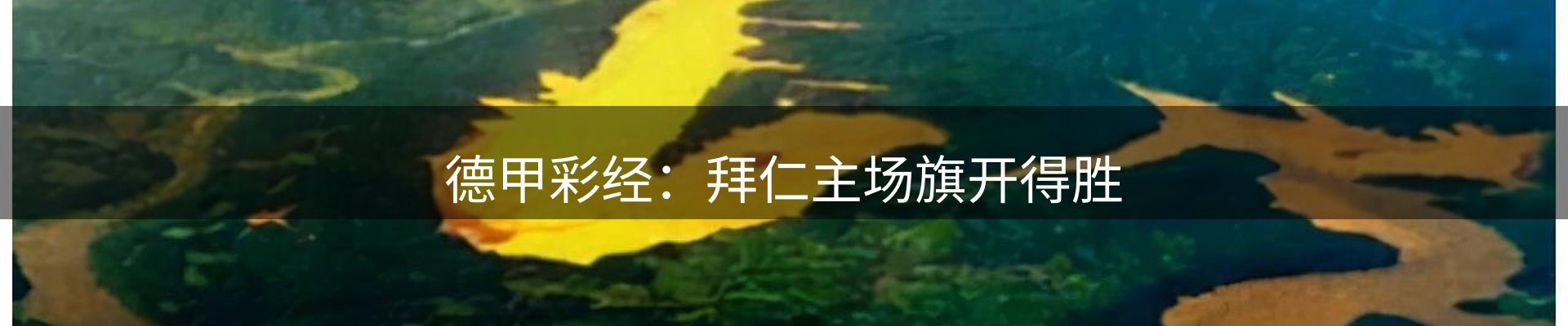 内页banner