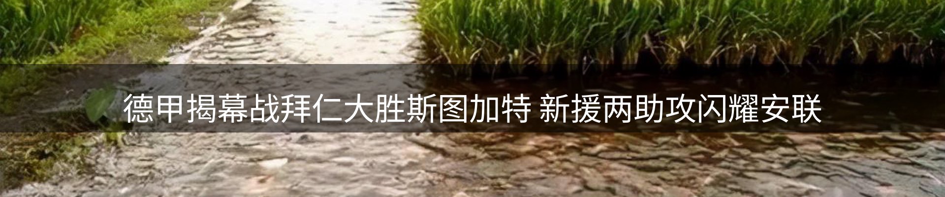 内页banner